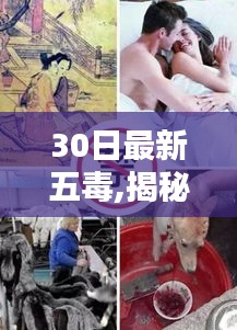志同道合 第1271页