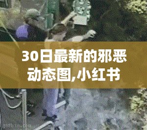 联系我们 第1242页