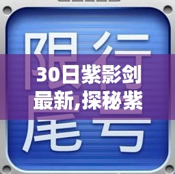 探秘紫影剑剑阁，小巷中的秘密宝藏引发探索热潮！