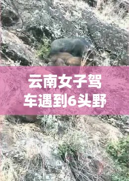 志同道合 第1265页