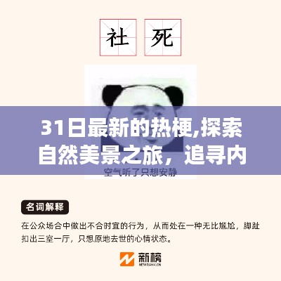 联系我们 第1236页