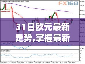全方位解析，欧元最新走势指南——从初学者到进阶用户的实战指南（以31日为例）