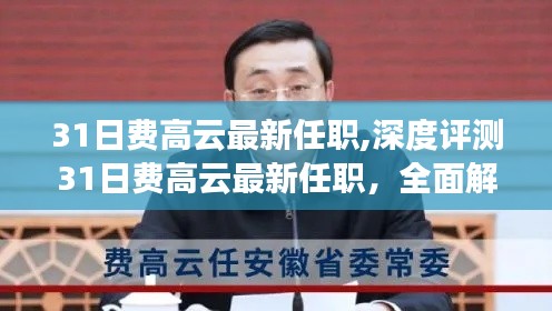 深度解读，费高云最新任职角色、特性与竞争态势的全面评测与体验分析