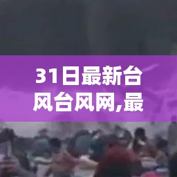 最新台风动态报告，台风网全面解析台风动态及报告更新情况