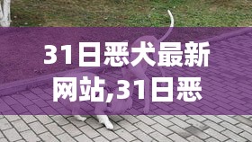 嗅APP 第1236页