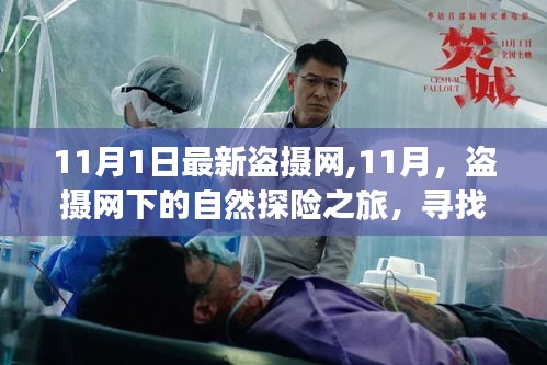 盗摄网下的自然探险之旅，寻找内心的平和与宁静（11月最新）