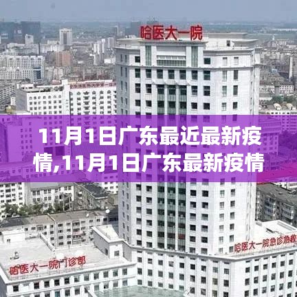 广东最新疫情动态，防控进展与公众应对指南（11月1日更新）