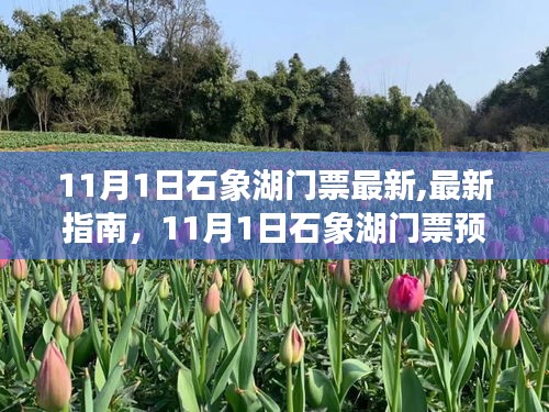 11月1日石象湖门票预约与购买全攻略，最新指南，适合初学者与进阶用户