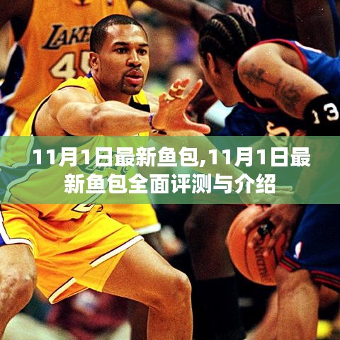 11月1日最新鱼包全面评测与详细介绍