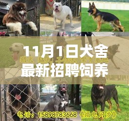 嗅APP 第1225页