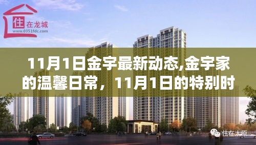 金宇11月1日最新动态，温馨日常的特别时光