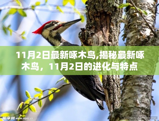 江南烟雨断桥殇 第69页