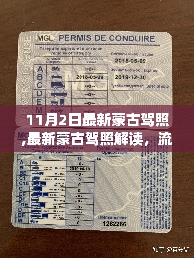 最新蒙古驾照解读，流程、要点及注意事项全解析