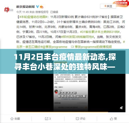丰台疫情最新动态，小巷深处的风味，记录疫情下的一抹生机