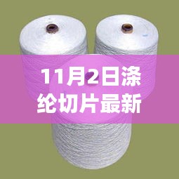 悠然自得 第65页