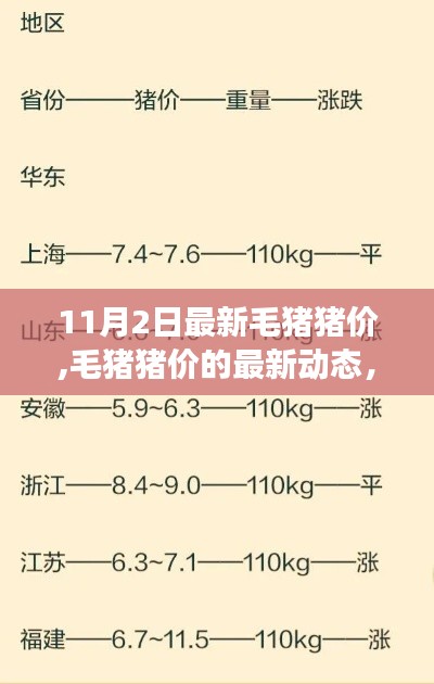 探寻十一月风云变幻中的市场脉络，最新毛猪猪价动态