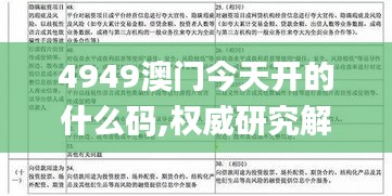 4949澳门今天开的什么码,权威研究解答落实_潜力版27.144