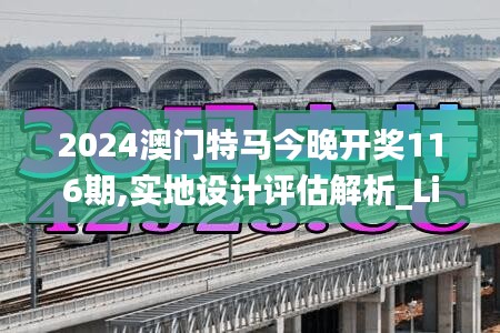 2024澳门特马今晚开奖116期,实地设计评估解析_Lite72.696