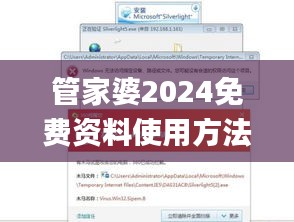 管家婆2024免费资料使用方法,精细化执行设计_和谐集31.094