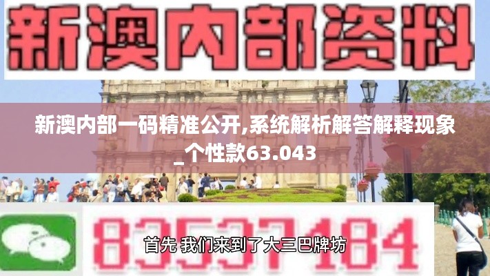 新澳内部一码精准公开,系统解析解答解释现象_个性款63.043