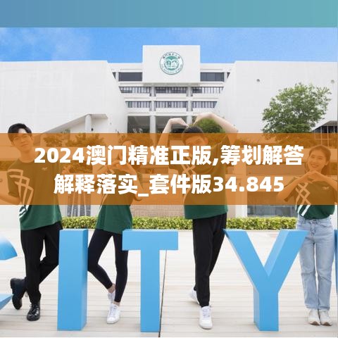 2024澳门精准正版,筹划解答解释落实_套件版34.845