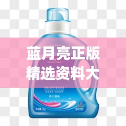 蓝月亮正版精选资料大全,现代解析方案落实_延展款31.684