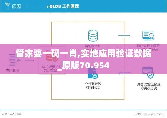 管家婆一码一肖,实地应用验证数据_原版70.954