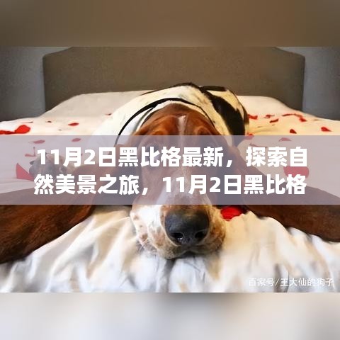 志同道合 第1207页