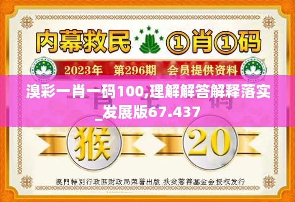 溴彩一肖一码100,理解解答解释落实_发展版67.437