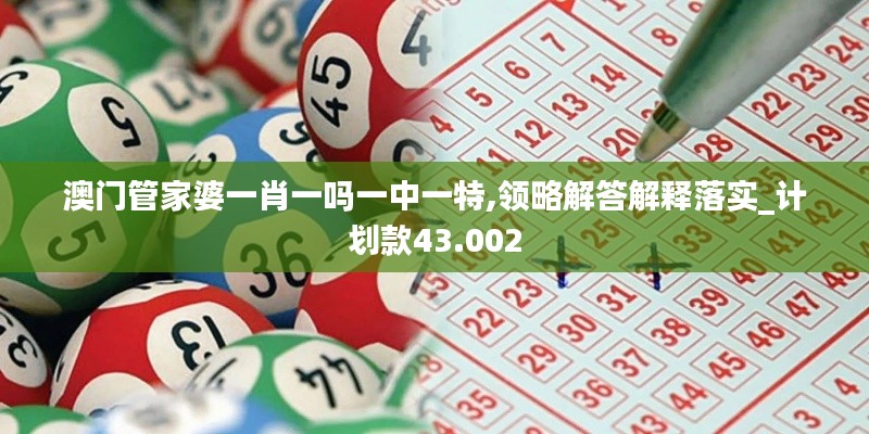 澳门管家婆一肖一吗一中一特,领略解答解释落实_计划款43.002