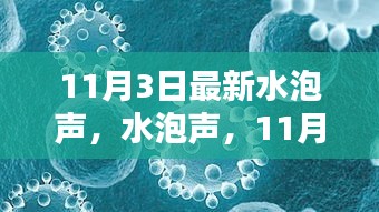 水泡声回响与影响，揭秘最新动态，聚焦11月3日事件