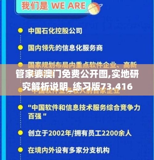 管家婆澳门免费公开图,实地研究解析说明_练习版73.416