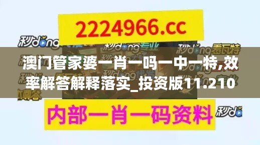 澳门管家婆一肖一吗一中一特,效率解答解释落实_投资版11.210