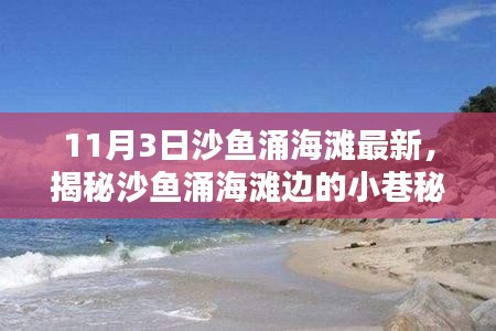 揭秘沙鱼涌海滩小巷秘境，特色小店的魅力之旅（最新报道）