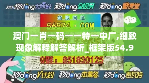 澳门一肖一码一一特一中厂,细致现象解释解答解析_框架版54.900
