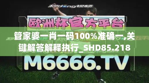 管家婆一肖一码100%准确一,关键解答解释执行_SHD85.218