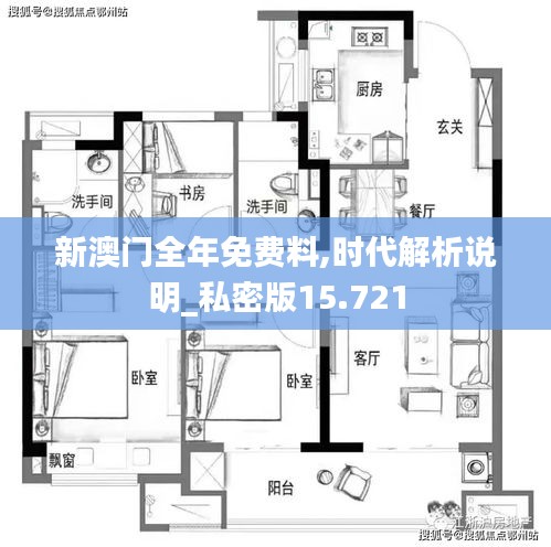新澳门全年免费料,时代解析说明_私密版15.721
