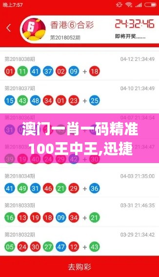 澳门一肖一码精准100王中王,迅捷解答计划落实_自由型8.456