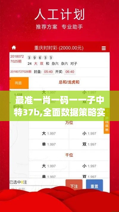 最准一肖一码一一子中特37b,全面数据策略实施_限量版65.303