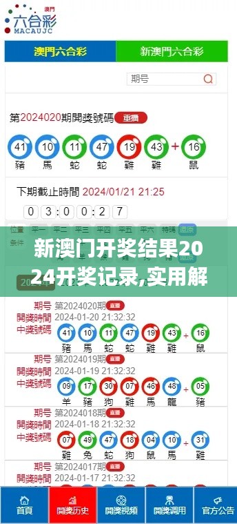 新澳门开奖结果2024开奖记录,实用解答解释落实_明星版82.564