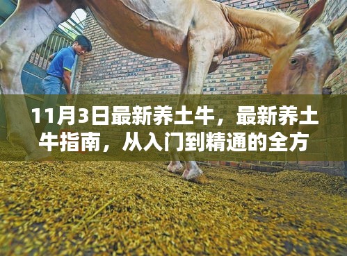 最新养土牛指南，从入门到精通的全步骤解析（适合初学与进阶用户）