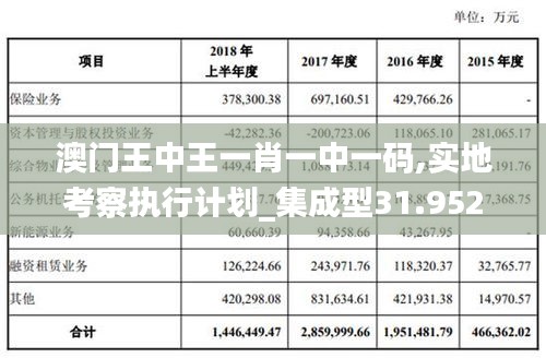 澳门王中王一肖一中一码,实地考察执行计划_集成型31.952