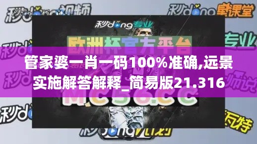 管家婆一肖一码100%准确,远景实施解答解释_简易版21.316