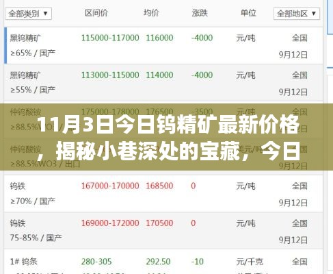 揭秘小巷深处的宝藏，今日钨精矿最新价格与独特小店的独特故事