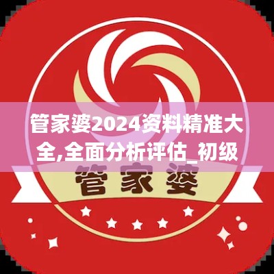管家婆2024资料精准大全,全面分析评估_初级款62.962