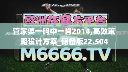 管家婆一码中一肖2014,高效策略设计方案_储备版22.504