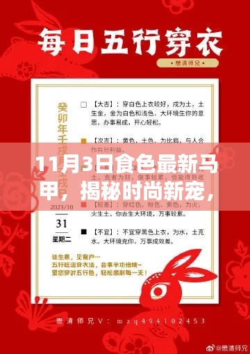 11月3日食色最新马甲引领时尚新潮流——小红书时尚解析