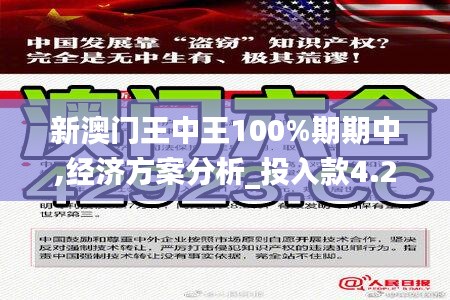 新澳门王中王100%期期中,经济方案分析_投入款4.251