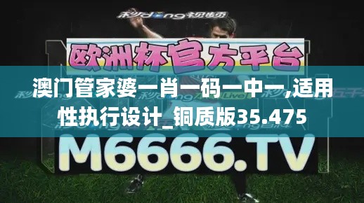 澳门管家婆一肖一码一中一,适用性执行设计_铜质版35.475