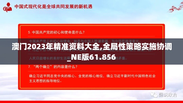 澳门2023年精准资料大全,全局性策略实施协调_NE版61.856